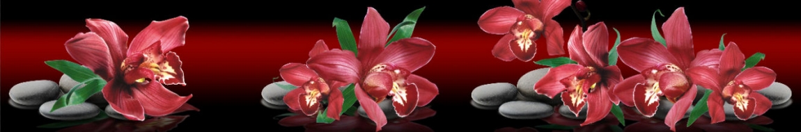 skinali 0888-2